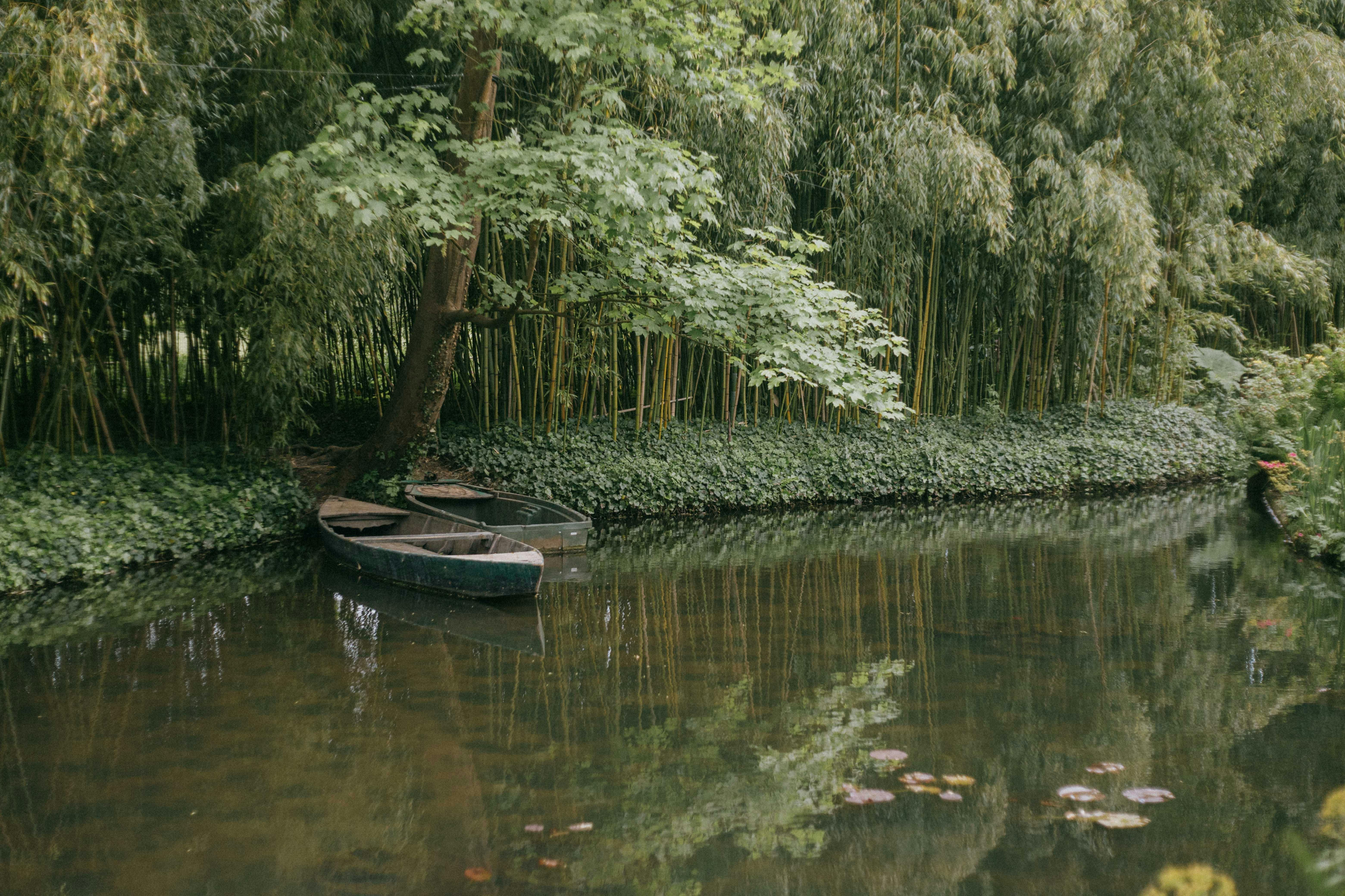 Barques et Semi-rigides